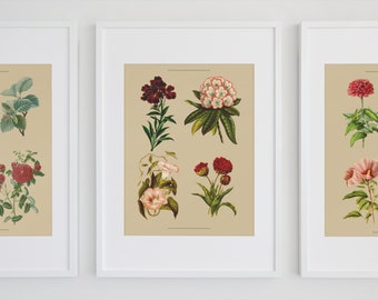 フローラルウォールアート 3点セット