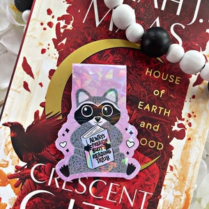 Cute Raccoon Magnetic Bookmark, Trash Bookmark,  Cute Reading Accessory, Book Gift, Cute Bookmark, Unique Bookmark
