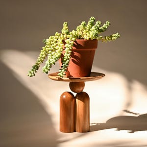 Op de afbeelding: Een terracotta pot met een hangende vetplant met kleine, lichtgroene, kraalachtige blaadjes. De pot staat op een houten voetstuk met een plat, rond blad dat wordt ondersteund door een centrale bol en twee verticale, afgeronde kolommen.