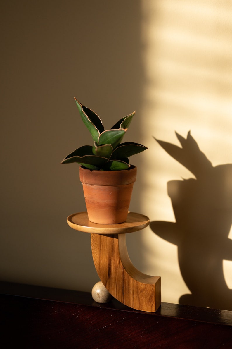 Modern minimal mini plant stand, mid-century modern, indoor solid teak wood handmade plant stand, home decor, jewelry dish, catch all image 1