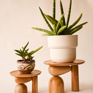 May include: Two wooden plant stands with rounded legs and flat tops. The smaller stand holds a small, brown, patterned ceramic pot with a succulent. The larger stand holds a white, cylindrical ceramic pot containing a tall, green snake plant.
