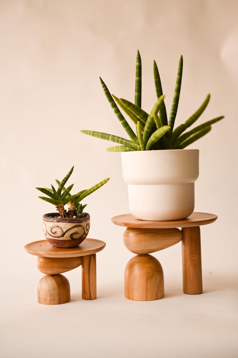 May include: Two wooden plant stands with rounded legs and flat tops. The smaller stand holds a small, brown, patterned ceramic pot with a succulent. The larger stand holds a white, cylindrical ceramic pot containing a tall, green snake plant.