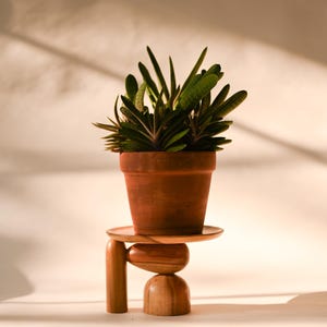 Wooden Mini Plant Stand, Mid-century Modern, Indoor Solid Teak Wood Handmade Home Decor, Jewelry Dish, Catch All image 8