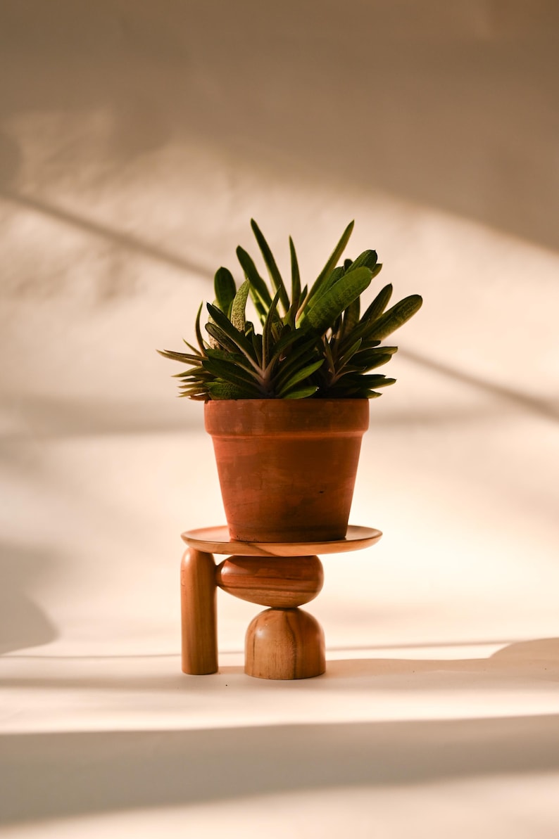 Wooden Mini Plant Stand, Mid-century Modern, Indoor Solid Teak Wood Handmade Home Decor, Jewelry Dish, Catch All image 8