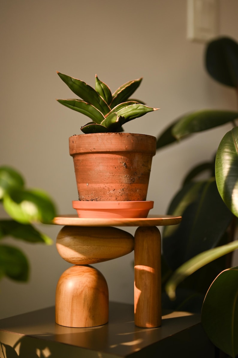 May include: A small green succulent plant with pointed leaves sits in a terracotta pot on a matching saucer. The pot rests on a wooden stand composed of a flat circular top supported by a rounded base and a vertical cylindrical leg.