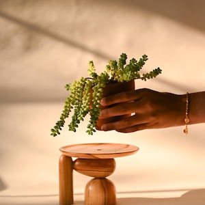 May include: A small wooden plant stand featuring a flat circular top supported by a base composed of three distinct geometric shapes, including a vertical cylinder, a horizontal oval, and a rounded dome, all in a warm, natural wood grain finish.