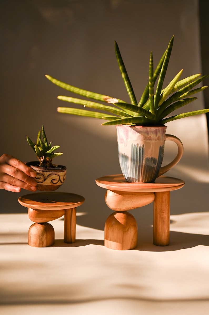May include: Two wooden plant stands with round tops and sculptural bases. One stand is shorter than the other. A ceramic mug with a green plant sits on the taller stand, while a small ceramic pot with a plant is held near the shorter stand.
