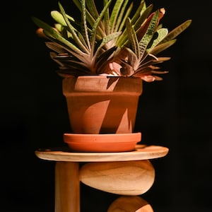 May include: A succulent plant with variegated green and white pointed leaves sits in a terracotta pot on a saucer. The pot rests on a wooden stand featuring a flat circular top supported by a vertical cylindrical leg and two smooth, rounded wooden shapes.