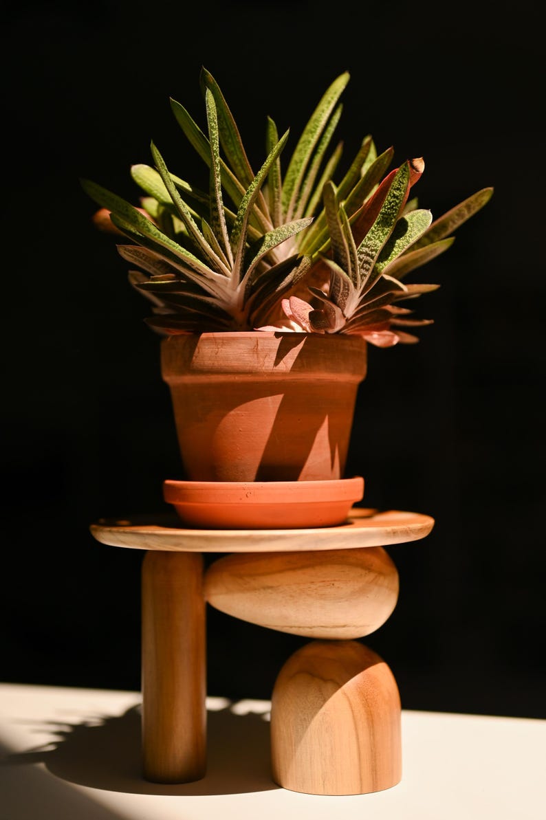 May include: A succulent plant with variegated green and white pointed leaves sits in a terracotta pot on a saucer. The pot rests on a wooden stand featuring a flat circular top supported by a vertical cylindrical leg and two smooth, rounded wooden shapes.