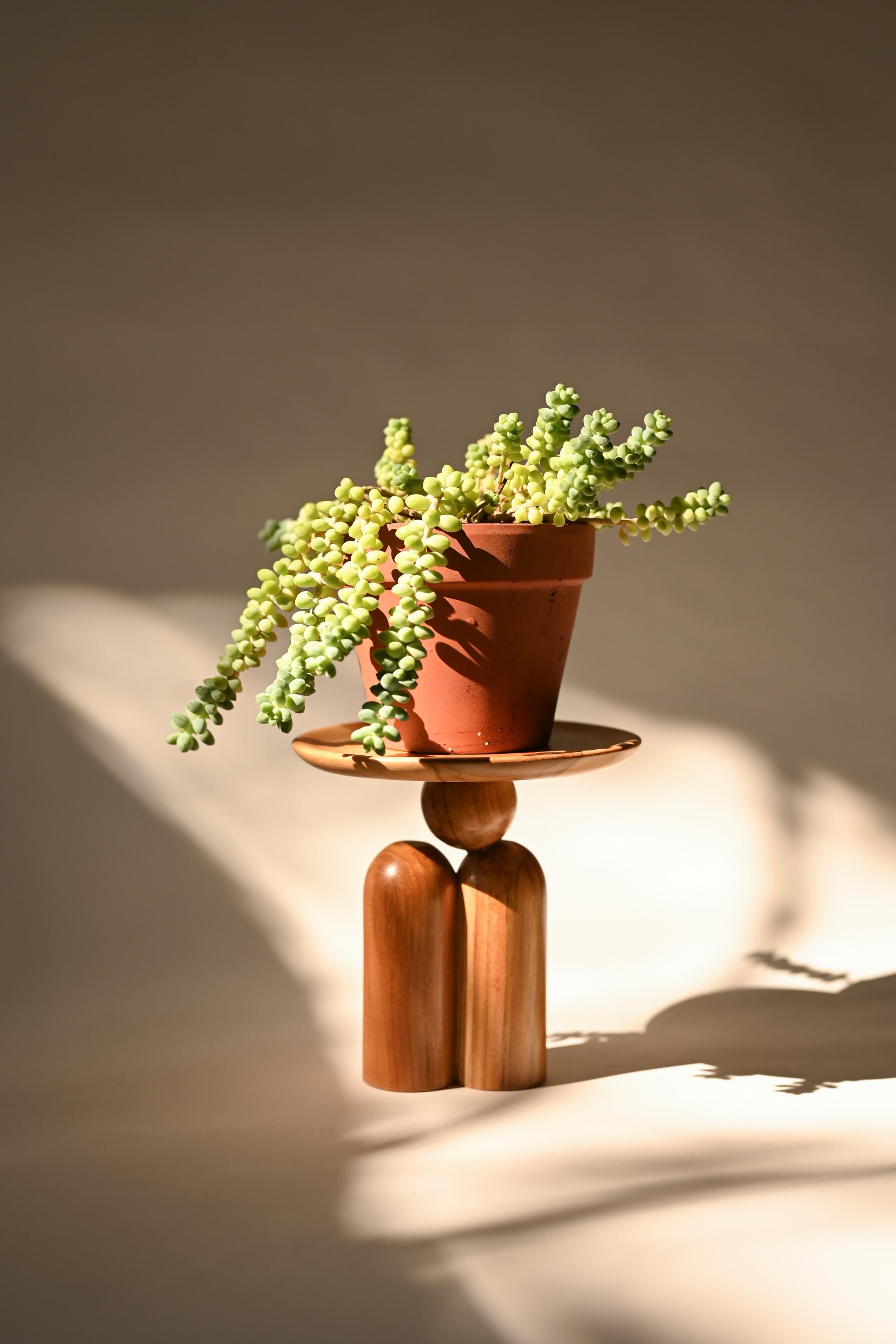 West Elm MCM Ceramic Planter Pot With Wood Stand