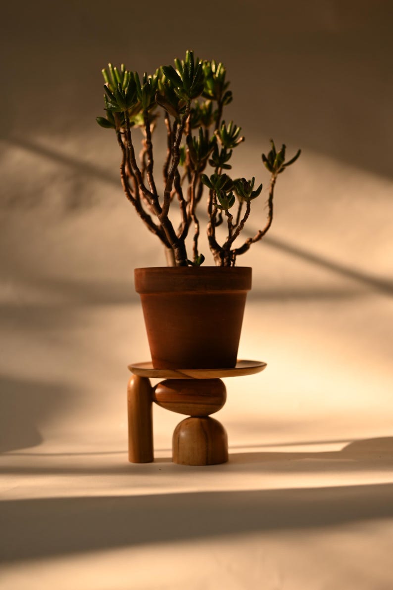May include: A green succulent plant in a brown terracotta pot resting on a wooden stand. The stand features a flat circular top supported by a vertical cylindrical leg, a horizontal oval-shaped piece, and a rounded dome-shaped base component.