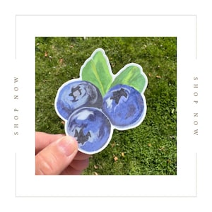 Waterproof Blueberry Sticker: Laptop, Water Bottle, Journal