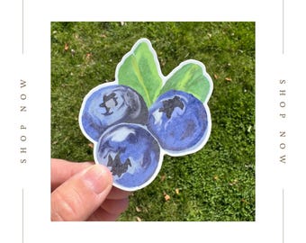 May include: A watercolour sticker of three blueberries with green leaves. The blueberries are painted in shades of blue and purple.