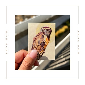 Owl Sticker