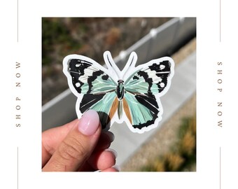 Blue Butterfly Sticker