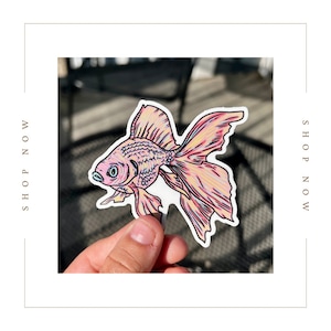 Beta Fish Sticker