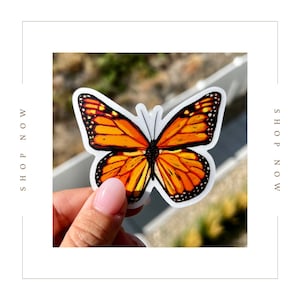 Orange Butterfly Sticker
