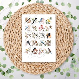 May include: A print featuring watercolour illustrations of various birds perched on branches with flowers. The birds are depicted in a range of colours, including blue, red, yellow, and black. The print is set against a white background.