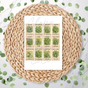 May include: A white card with vintage herb illustrations, such as sage, rosemary, thyme, and basil. Each herb is labelled with its name in a classic font. The card is placed on a woven, circular placemat with scattered green leaves.