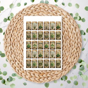 May include: A sheet of vintage-style herb labels with botanical illustrations and text. The rectangular labels have a distressed, aged look. The labels are arranged on a white background, surrounded by eucalyptus leaves and a woven mat.