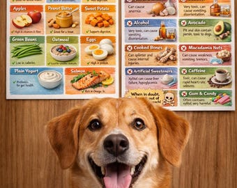 Safe and Unsafe Foods for Dogs Printable Poster | Dog Food Safety Chart | What Dogs Can & Can’t Eat | Pet Owner Wall Art | Vet Office Decor
