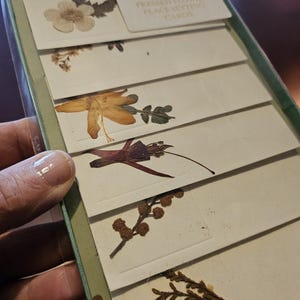 Tarjetas de lugar hechas a mano con flores prensadas estilo vintage...tan lindas y nuevas... ¿de los 90?