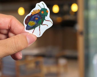 Cosmic Mail Carrier Beetle Vinyl Sticker, Waterproof Whimsical Bug Decal