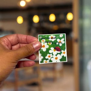 Pegatina de vinilo de mariquita: Afirmación caprichosa, arte floral (6,35 cm)