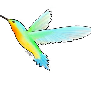 Colibrí Pegatina