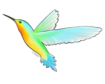 Hummingbird Sticker