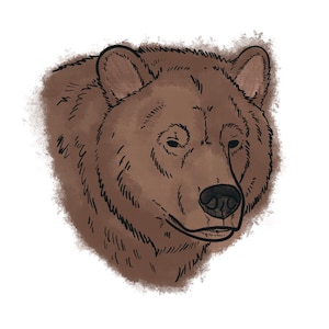 Grizzly Bear Sticker