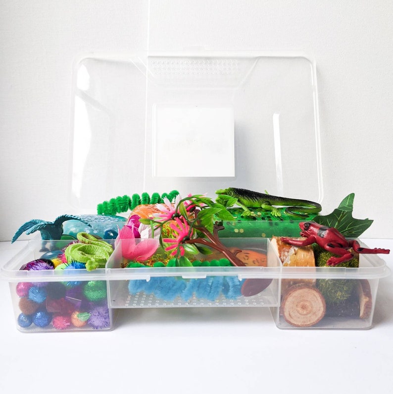 Rainforest Habitat Playdough Kit Sensory Bin Pretend Play Etsy