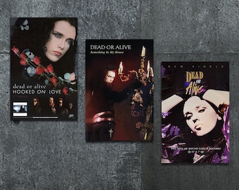 Dead Or Alive - You Spin Me Round - Hooked On Love - Something In My House - 11x17 Poster Print