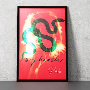 May include: A framed poster with a red background and a black snake with a green outline. The text "boy harsher" and "Pain" are written in black on the poster.