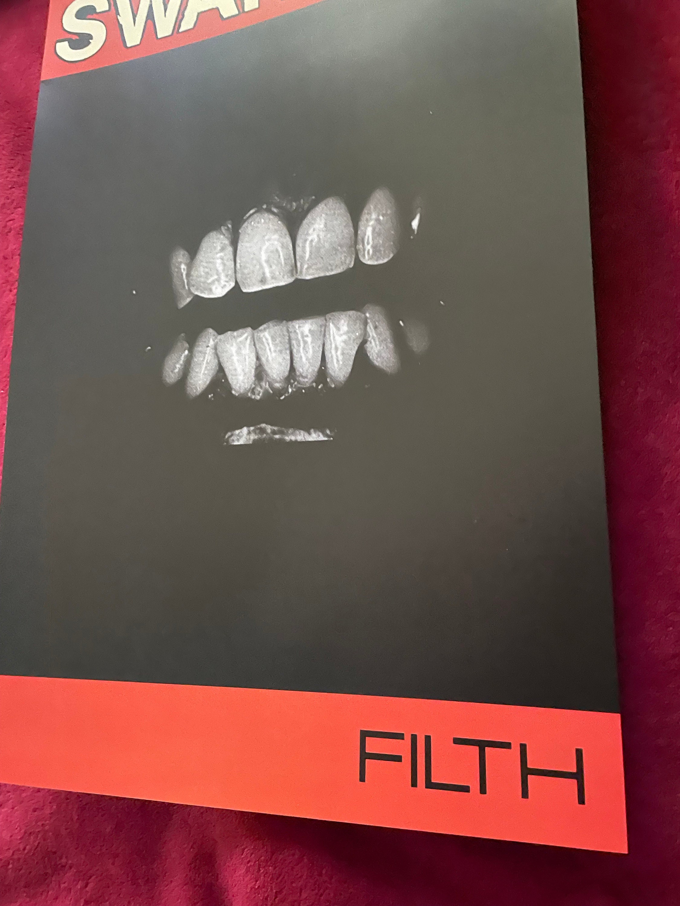 SWANS Filth レコード　サイン入り　2枚ポスター付き Swans - Filth - 11x17 Poster Print - Etsy