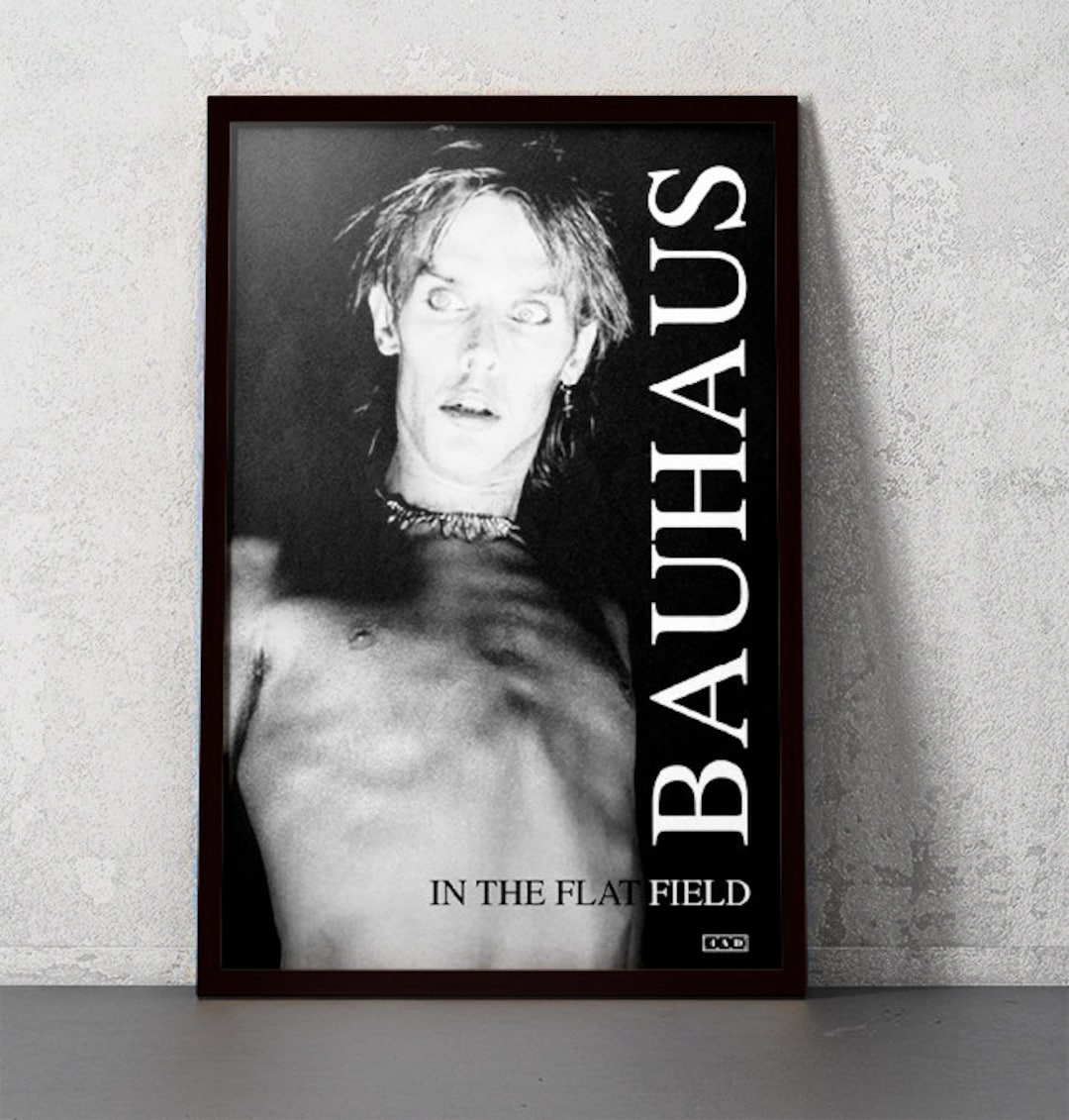 Bauhaus - in the Flat Field - 11x17 Poster Print - Etsy