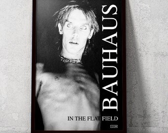 Bauhaus - In The Flat Field - 11x17 Poster Print
