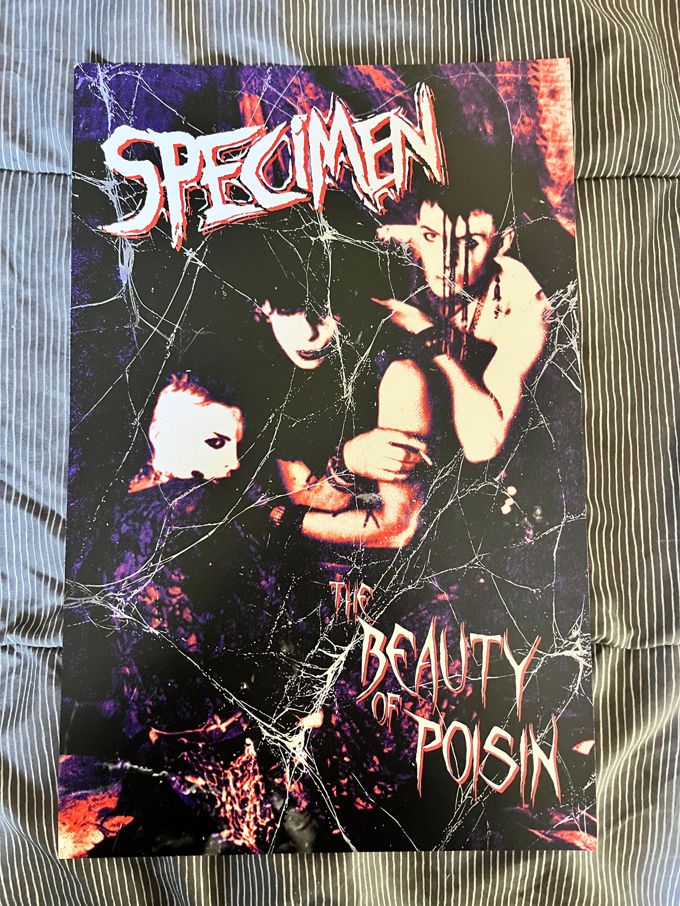 Specimen Band Poster Print – Kiss Kiss Bang Bang, Beauty of Poisin