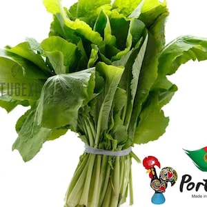 May include: A bunch of fresh green leafy greens, tied together with a white rubber band. The greens are arranged in a bouquet-like shape. The background is white.