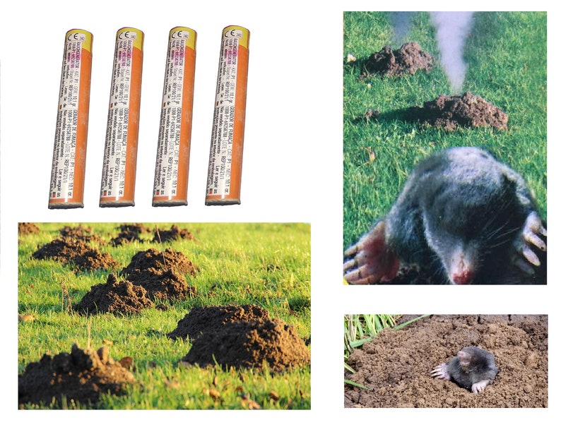 2 Répulsifs Anti-Taupes à Vibrations - Fréquence Variable 400-1000Hz Pour Jardin Jusqu'à 700m²