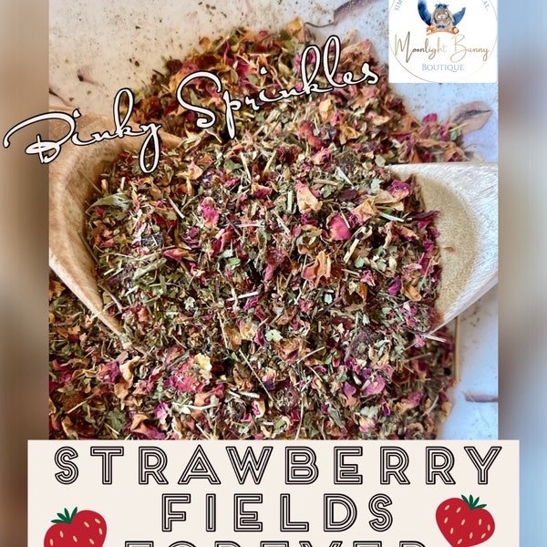 Binky Sprinkles Forage Blend~Strawberry Fields~ Healthy Treat, Perfect Hay/Greens/Pellet Topper for Rabbit, Hamster, Guinea Pig, Chinchillas