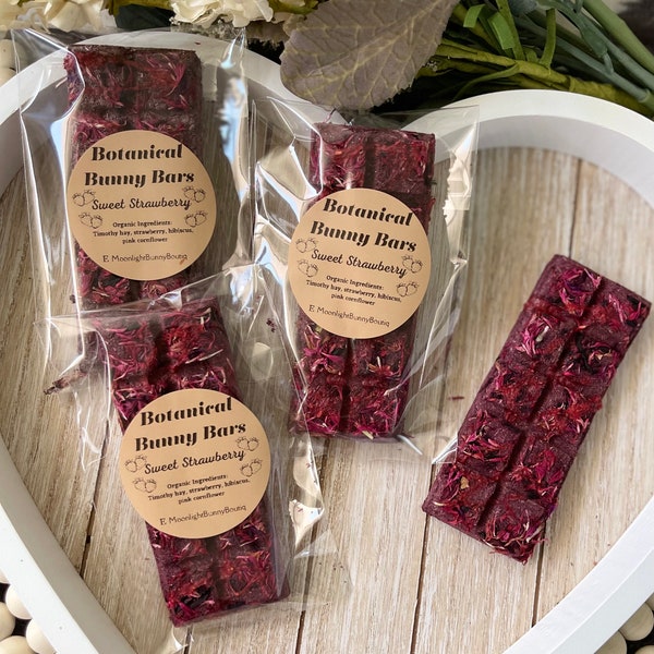 Botanical Bunny Bars~ Sweet Strawberry~ OAT FREE~Timothy Hay Based Treats, Crunchy snacks for Rabbits, & Small Pets, Healthy and Guilt Free