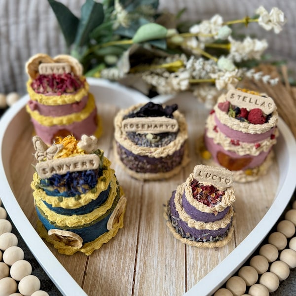 Bunny Cakes | Custom Birthday/Gotcha Day Cake, Hay and Oat Based celebration treats for rabbits, guinea pigs, & small pets