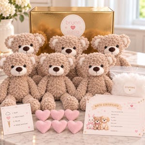 Op de afbeelding: Een set van vijf beige pluche teddyberen, zes kleine roze stoffen hartjes, een zak met witte vulling en een gouden geschenkdoos met het label brynn & stella. Inclusief instructiekaarten en geboortecertificaten met dierillustraties.