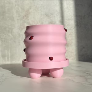 Puede incluir: Una maceta rosa claro con un diseño ondulado y una base pequeña y redonda. La maceta tiene tres patas redondeadas y está adornada con pequeños acentos de mariquitas rojas. La maceta está diseñada para contener plantas o flores pequeñas.