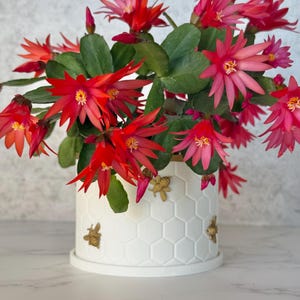 Honeycomb Bee Pot with Drainage Saucer: Hand-Painted Indoor Planter