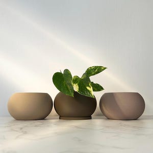 Könnte beinhalten: Drei runde Keramik-Blumentöpfe in Beige, Braun und Hellrosa. Eine grüne Topfpflanze steht im mittleren Topf.