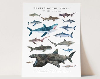 Shark Species Poster, 16" x 20", Educational art for kids, nautical decor, wall decor for kids, scientific shark species of the world