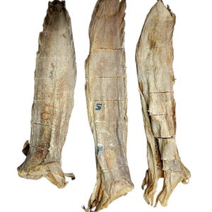 Stockfish (Oporoko)