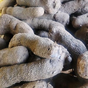 Yam